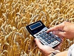 Саморегулирование идёт в поля – чиновники подумывают про СРО для зернового рынка